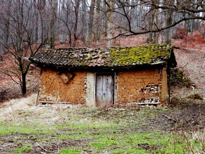 伍兹, 小木屋, 被遗弃, 塞尔维亚, 复古, 老房子, 年份