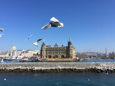 伊斯坦堡, 车站, 海鸥