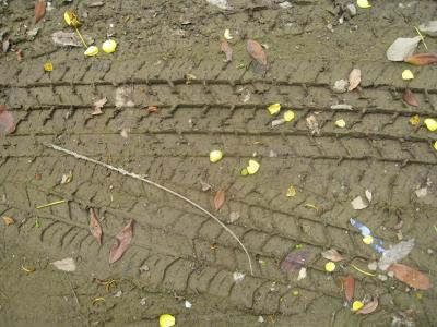 轮胎履带, 曲目, 标记, 泥浆, 湿法, 地面, 污垢
