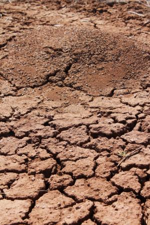 蚁丘, 破裂的地球, 地面, 土壤, 炎热的土壤, 裂纹, 土地