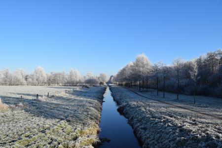 delmenhorst, 安妮挖, 冬天, 弗罗斯特, 白霜, 天空, 蓝色
