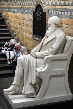 雕像, 达尔文, 博物馆, 自然历史, 伦敦