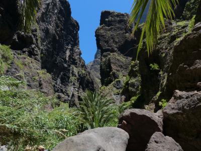 masca 山沟, 岩石, 峡谷, 徒步旅行, 特内里费岛, 加那利群岛, 山脉