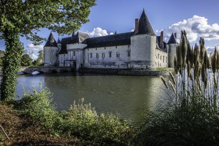 城堡杜立石-包装, 中世纪, 中世纪, 法国文物, 卢瓦尔河, 湖, 芦苇