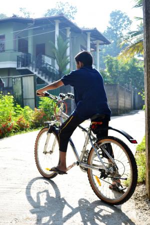 自行车, 男孩, 早上, 回光, 道路, 体育, 山地自行车
