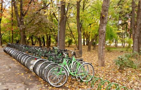 自行车, 公园, 生活方式, 休闲, 自然, 体育, 骑自行车
