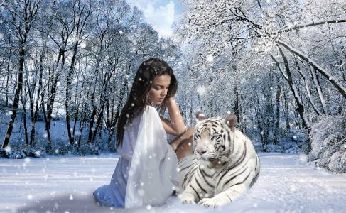 女人, 老虎, 雪, 冬天, 自然, 感情, 看看