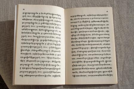 书, 西藏, 阅读, 语言, 字符, 打开书, calligrathy