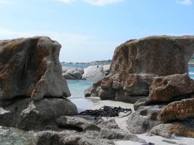 岩石, 海滩, 海, 假日, 非洲, 开普敦, 岩石-对象
