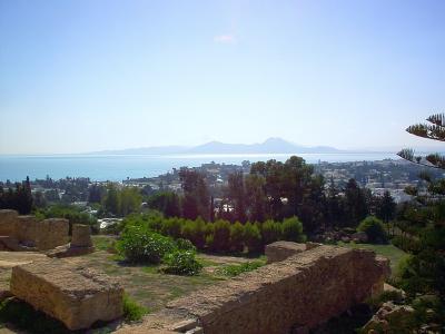 迦太基, 废墟, 视图, 阳光明媚, 突尼斯, 突尼斯共和国, 景观
