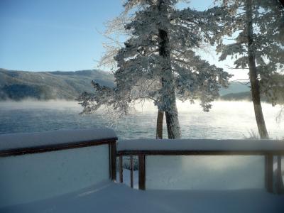 结霜, 冬天, canim 湖, 不列颠哥伦比亚省, 加拿大, 自然, 风光