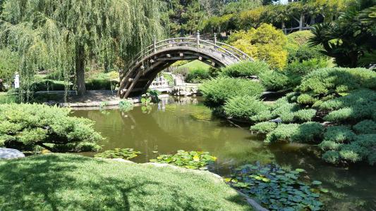 日语, 花园, 禅宗, 池塘, 东方