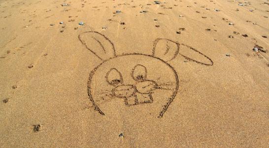 兔子, 卡通, 海滩, 沙子, 绘图, 素描, 小兔子