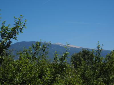 ventoux, 山, 普罗旺斯, 斯 voralpen, 石灰石, 1 912 m, 自然