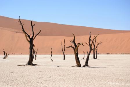 死谷看似, 纳米比亚, 沙漠, 沙丘, 沙子, 干, 非洲