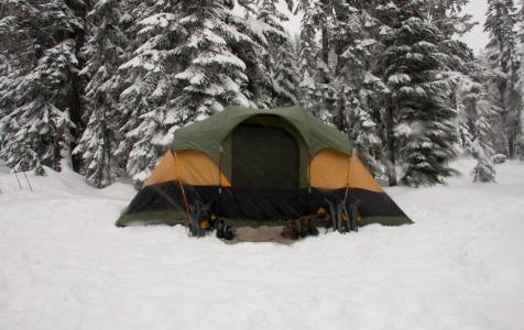 冒险, 露营, 齿轮, 徒步旅行, 雪, 帐篷, 树木