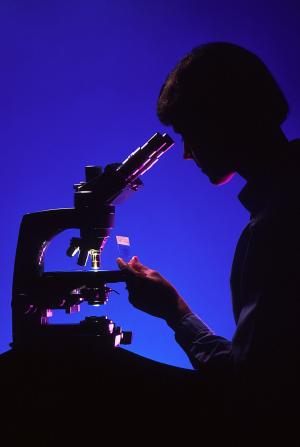 科学家用显微镜, 剪影, 实验室, 科学, 生物学, 实验室, 医疗