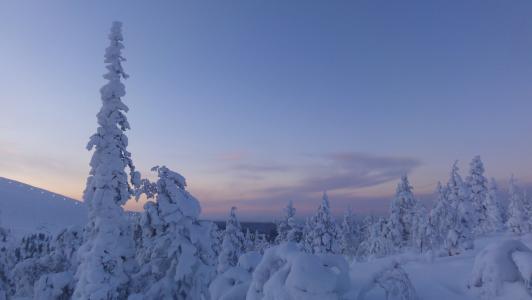 芬兰, 冬天, 雪, 白雪皑皑, 北极圈内, 拉普兰