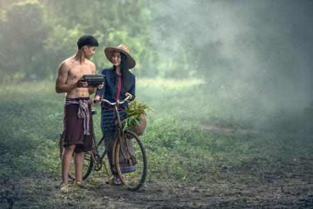 成人, 农业, 自行车, 亚洲, 购物篮, 美丽, 柬埔寨