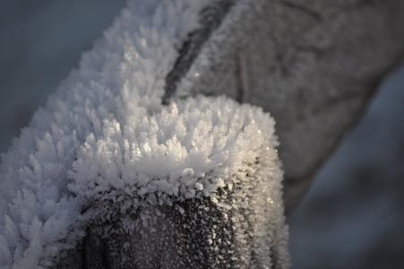 晶体, 雪, 成熟, 栅栏, 冬天, 感冒, 自然