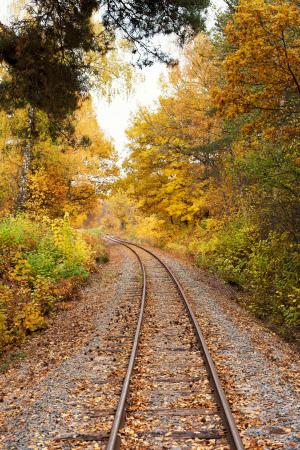 跟踪, rails, 铁路, 树, 秋天, 铁路轨道, 轨道交通
