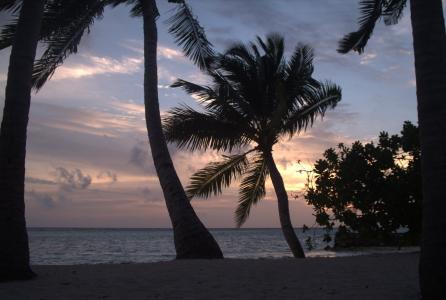 马尔代夫, 日落, 海滩