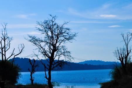 蓝色, 天空, 湖泊, 水, 河, 流动, 树木