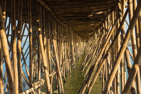 柬埔寨, 磅湛, 竹, 桥梁, 洞里萨湖河, 建设, 水