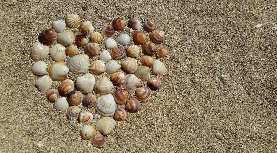 海滩, 心, 爱, 沙子, 海贝壳, 海边, 海岸