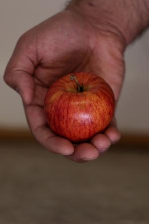 苹果, 水果, 红色, 健康, 手, 自然