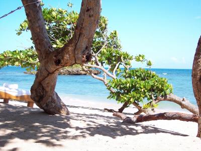 海滩, 假日, 休息, 加勒比海