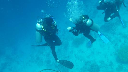 潜水员, 跳水, 水下, 海洋, 水, 海, 呼吸装置