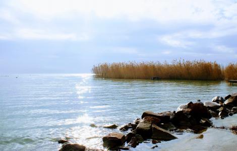 巴拉顿湖, 水表面, 湖, 日 s, 自然, 水, 滨水区