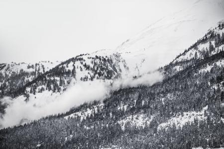 照片, 雪, 山, 树木, 灰色, 规模, 摄影
