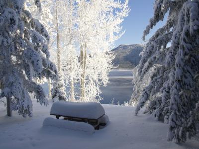 canim 湖, 加里布, 不列颠哥伦比亚省, 加拿大, 冬天, 厚厚的积雪, 感冒