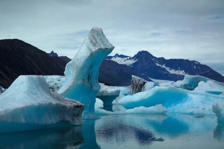 冰川, 景观, 海洋, 冰, 雪, 水, 熊冰川