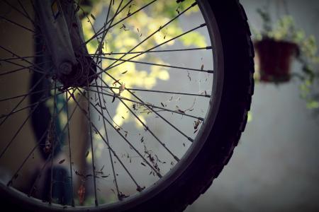 自行车, 自行车, 车轮, 光线, 车轮