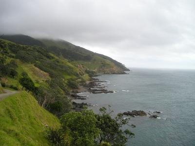 新西兰, 海岸, 绿色, 景观, 北岛