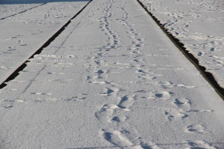 电车轨道, 跟踪, 鹿特丹, 雪