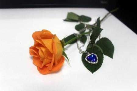 橙玫瑰, 项链, 上升, 花, 礼物, 爱, 装饰