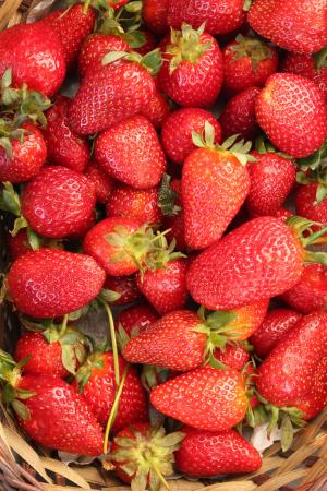 草莓, 红色, 水果