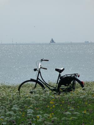 自行车, 海, 自行车, 夏季, 度假, 天空, 花