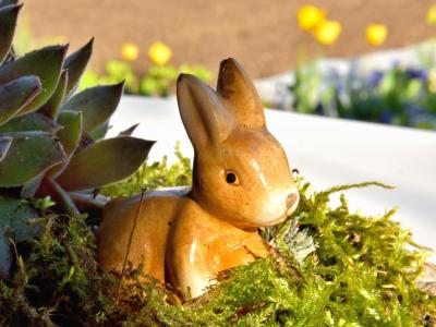 复活节兔子, 青苔, 野兔, 装饰, 图, 德科, 春天