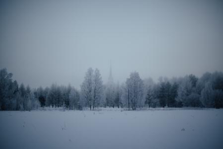 树木, 冬天, 时间, 自然, 景观, 森林, 橡皮布