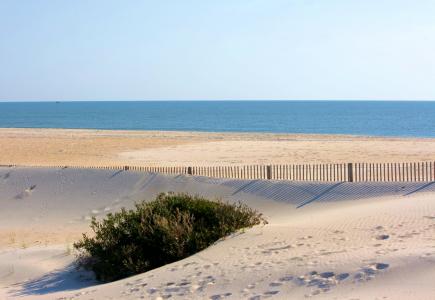 海滩, 吹拂, 防砂控制, 沙子篱芭, 大西洋, 海岸, 海