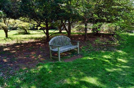 板凳, 公园, 座位, 树木, 美化, 草坪, 草