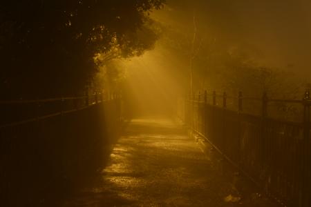 晚上, 香港, 光, 有雾, 维多利亚, 高峰, 城市