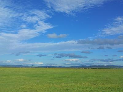蓝蓝的天空和洁白的云朵, 草原, 自然