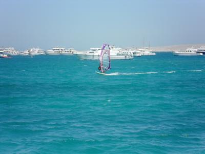 冲浪者, 水上运动, 游艇, 海, 海滩, 埃及, 红海