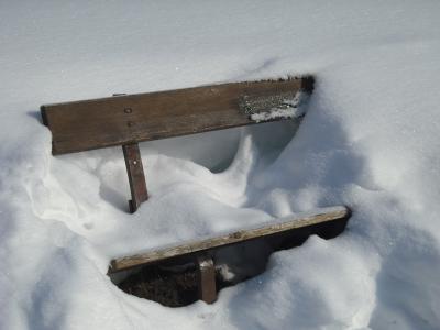 自然, 板凳, 雪, 冬天, 低温, 户外, 天气